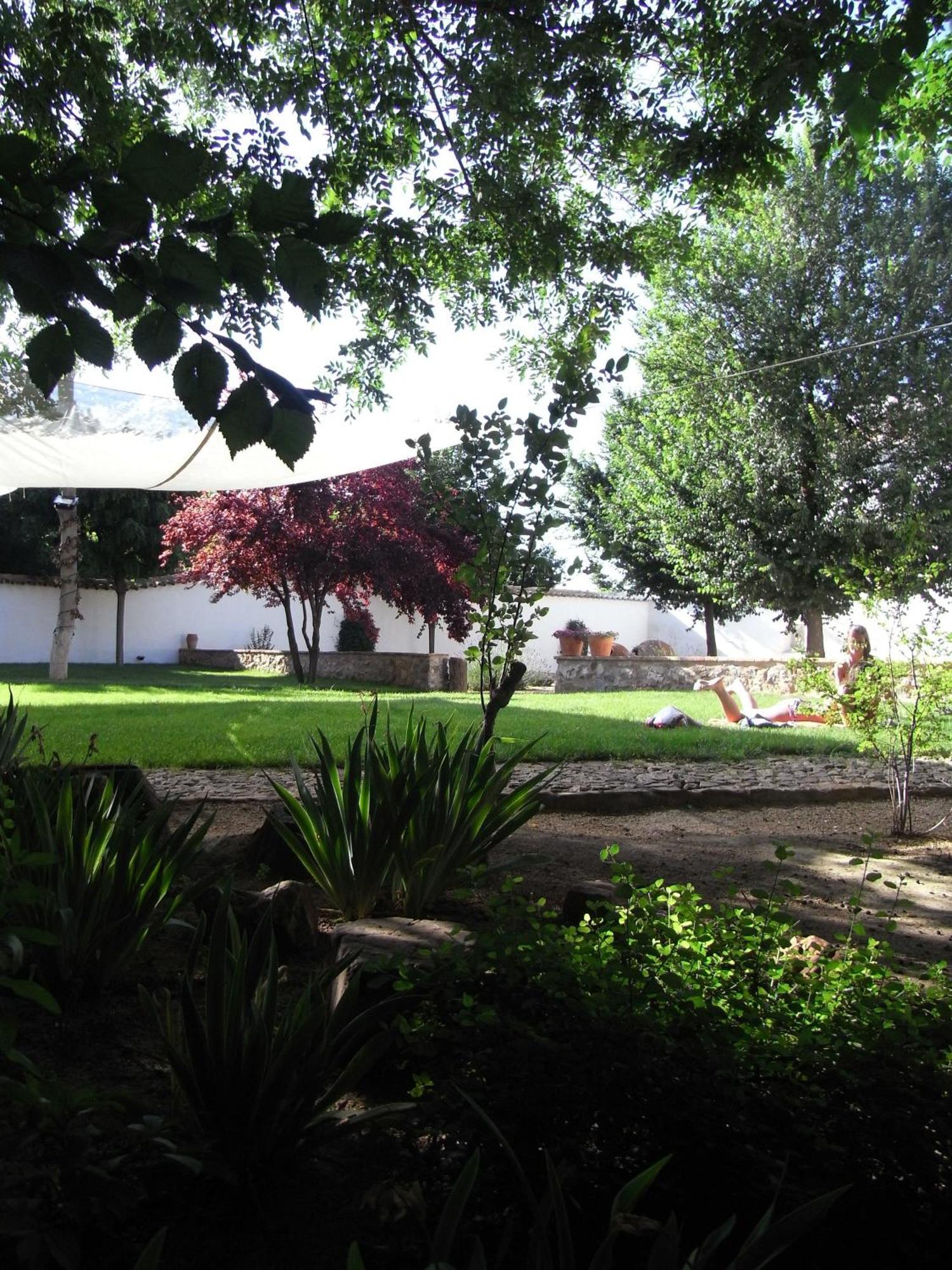 Casa Rural La Alameda Madridejos Exterior foto